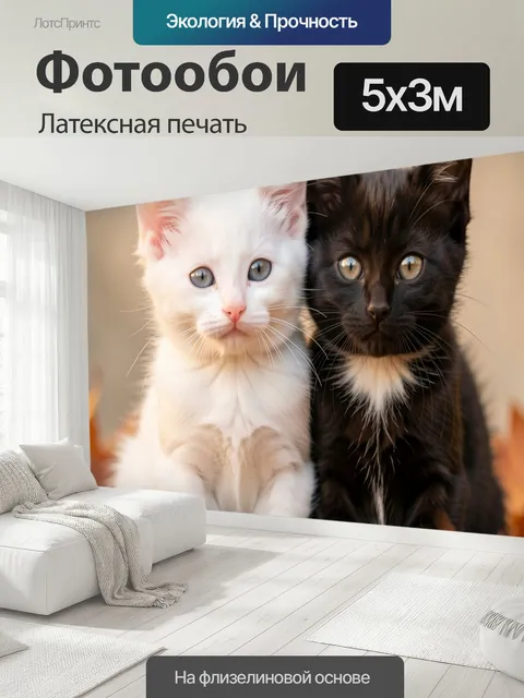500 × 300 см · Латексная печать