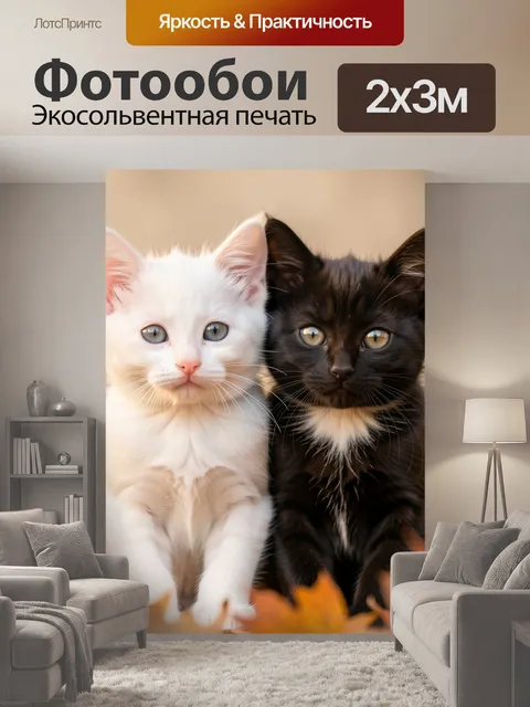200 × 300 см · Экосольвентная печать