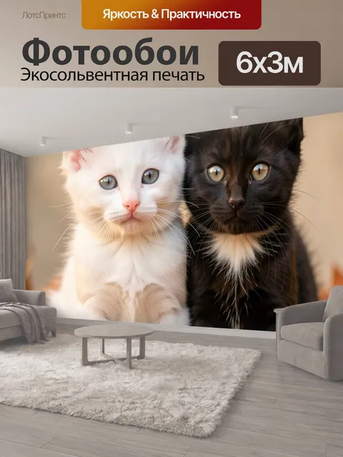 600 × 300 см · Экосольвентная печать