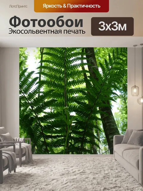 Фотообои Папоротник, лес, лесное растение