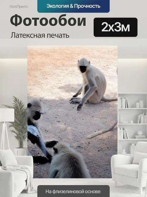 200 × 300 см · Латексная печать
