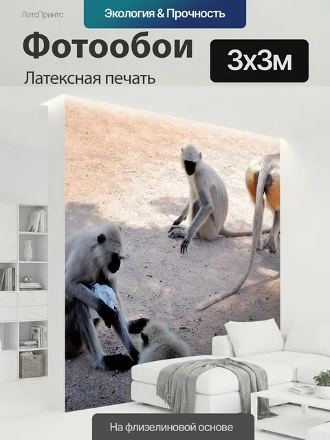 300 × 300 см · Латексная печать