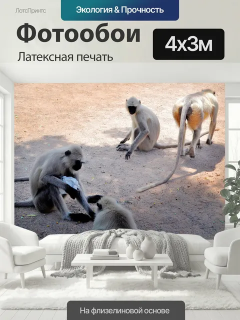 400 × 300 см · Латексная печать