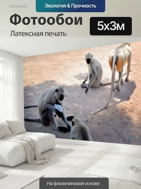 500 × 300 см · Латексная печать
