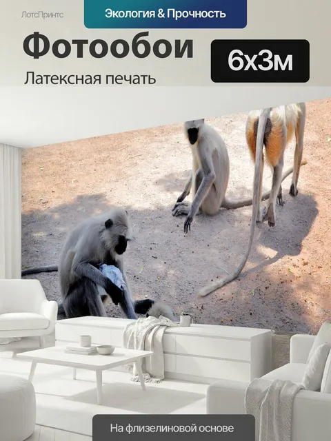 600 × 300 см · Латексная печать