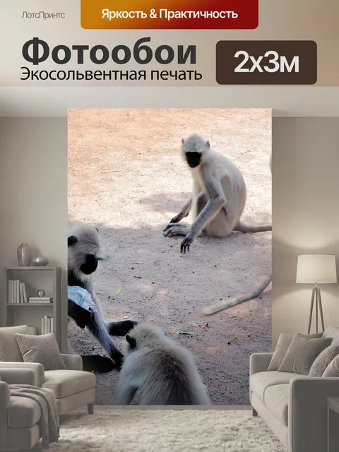 200 × 300 см · Экосольвентная печать