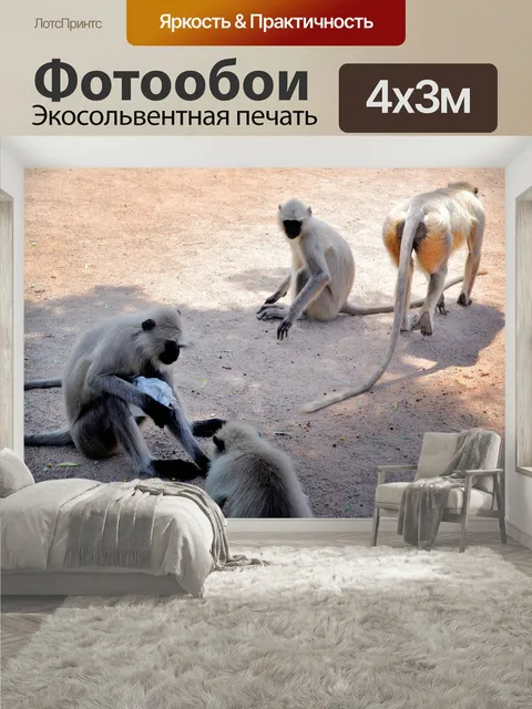 400 × 300 см · Экосольвентная печать