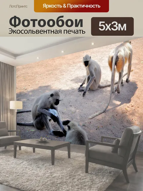 500 × 300 см · Экосольвентная печать