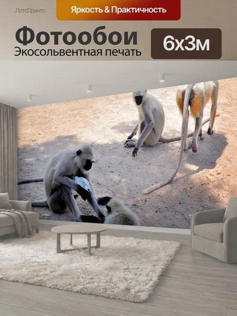 600 × 300 см · Экосольвентная печать