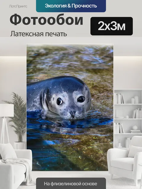 200 × 300 см · Латексная печать