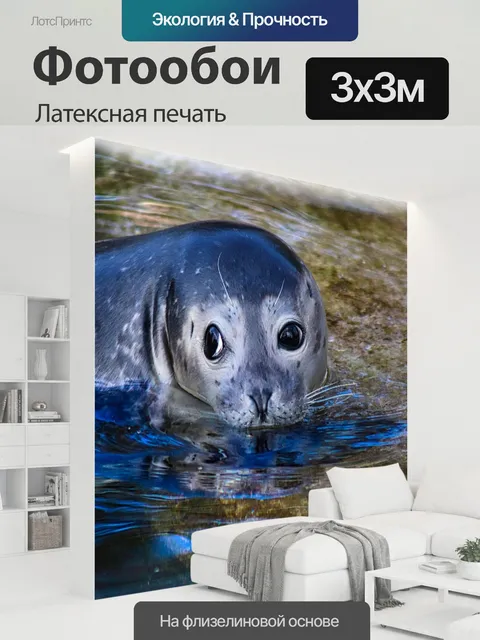 300 × 300 см · Латексная печать