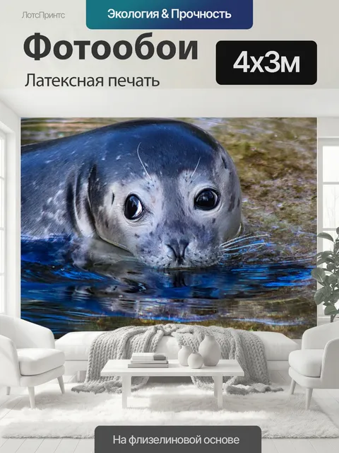 400 × 300 см · Латексная печать