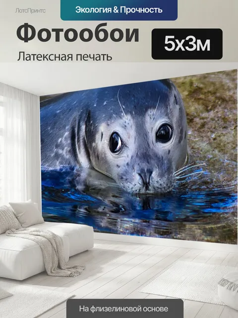 500 × 300 см · Латексная печать