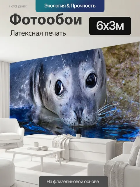 600 × 300 см · Латексная печать