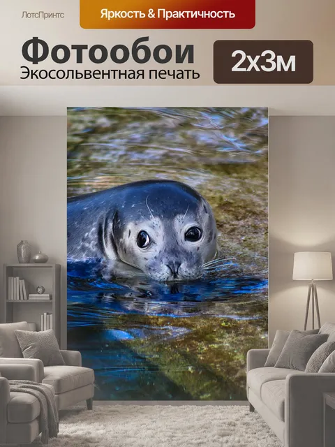 200 × 300 см · Экосольвентная печать