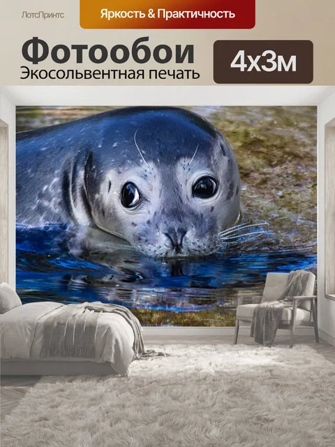 400 × 300 см · Экосольвентная печать