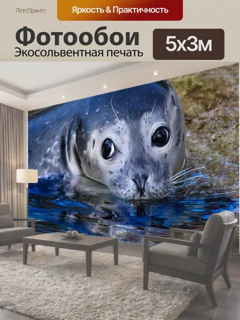 500 × 300 см · Экосольвентная печать