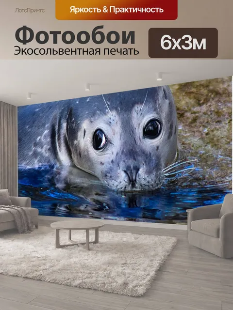 600 × 300 см · Экосольвентная печать