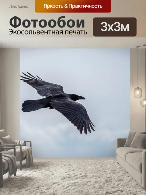 Фотообои Птица, ворона, полет