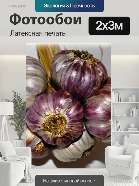 200 × 300 см · Латексная печать