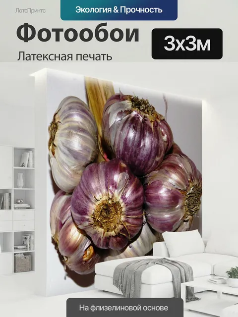 300 × 300 см · Латексная печать
