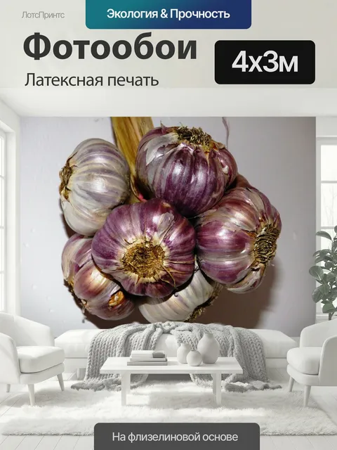 400 × 300 см · Латексная печать