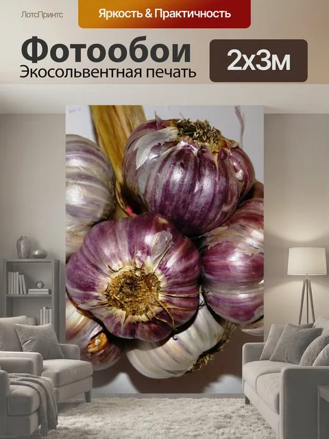 200 × 300 см · Экосольвентная печать