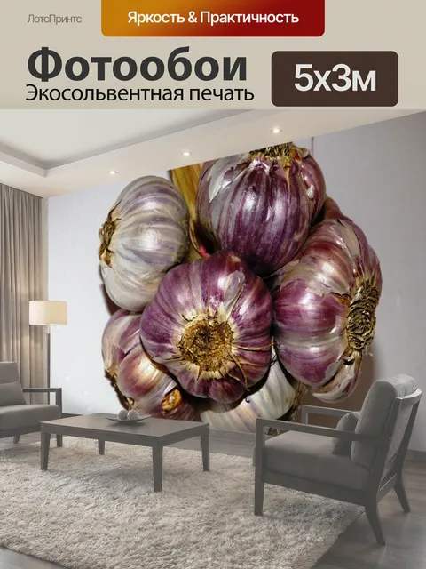 500 × 300 см · Экосольвентная печать