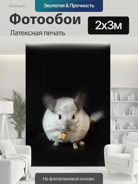 200 × 300 см · Латексная печать