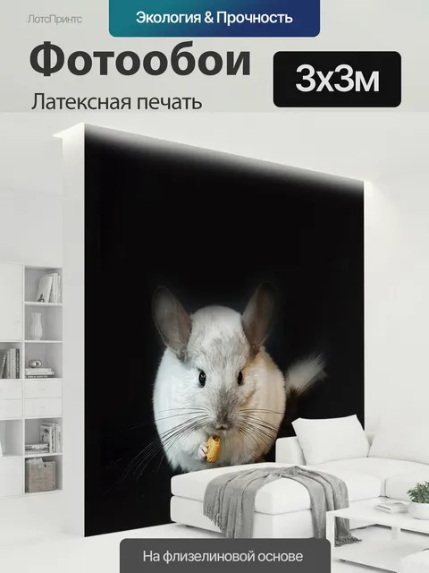 300 × 300 см · Латексная печать