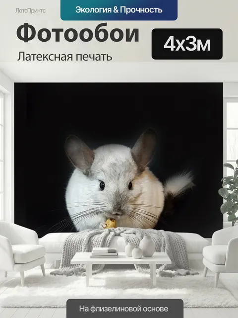 400 × 300 см · Латексная печать