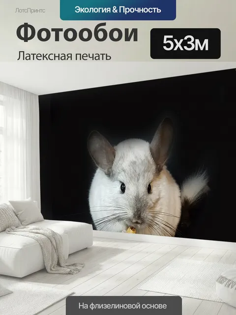 500 × 300 см · Латексная печать