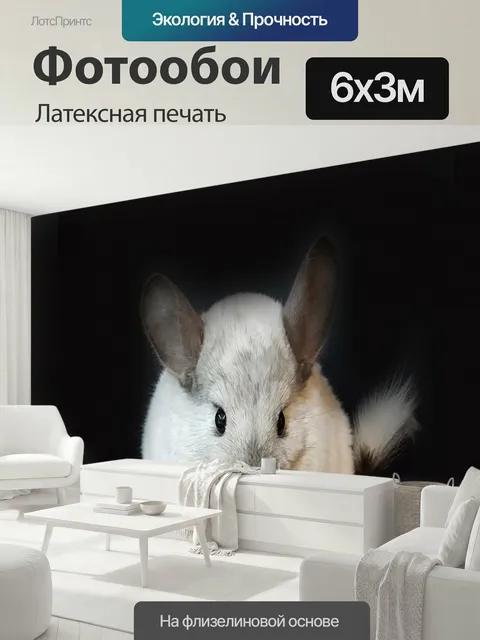 600 × 300 см · Латексная печать