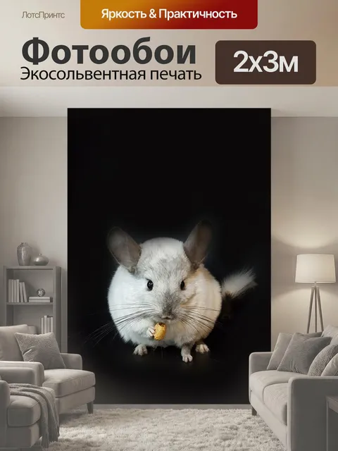 200 × 300 см · Экосольвентная печать