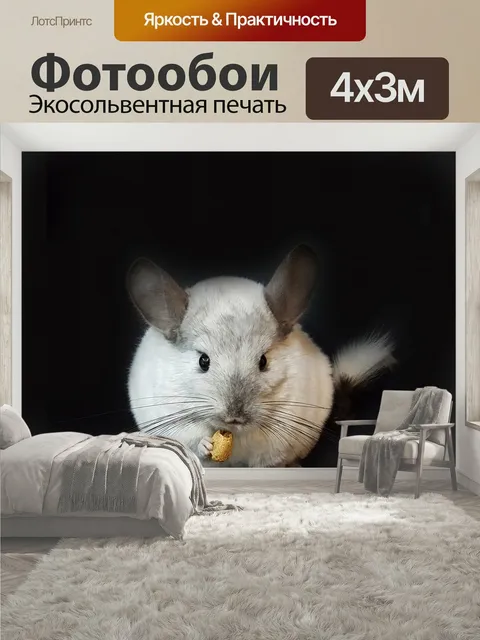 400 × 300 см · Экосольвентная печать