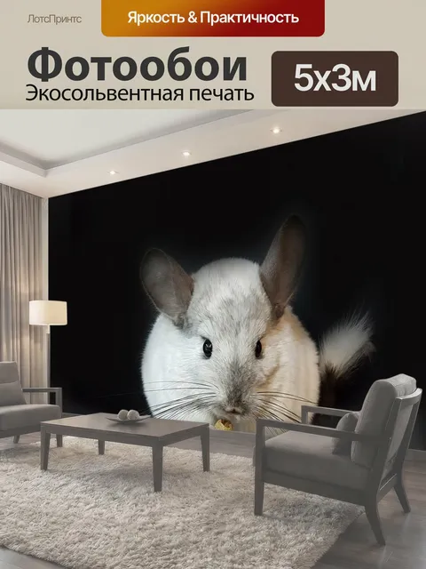 500 × 300 см · Экосольвентная печать