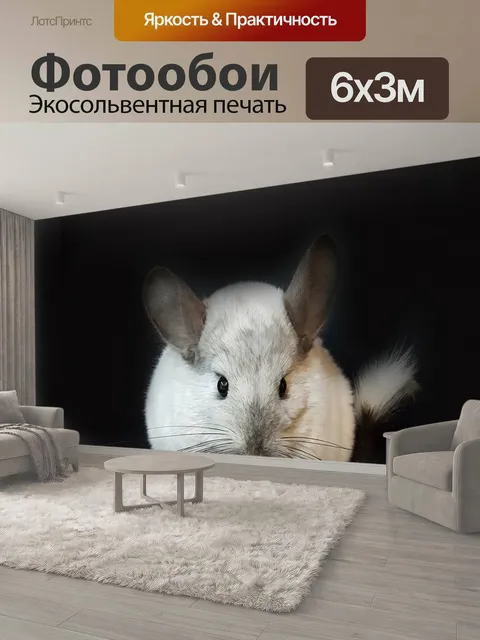 600 × 300 см · Экосольвентная печать