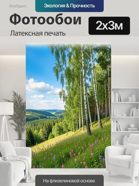 200 × 300 см · Латексная печать