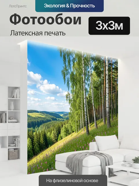 300 × 300 см · Латексная печать