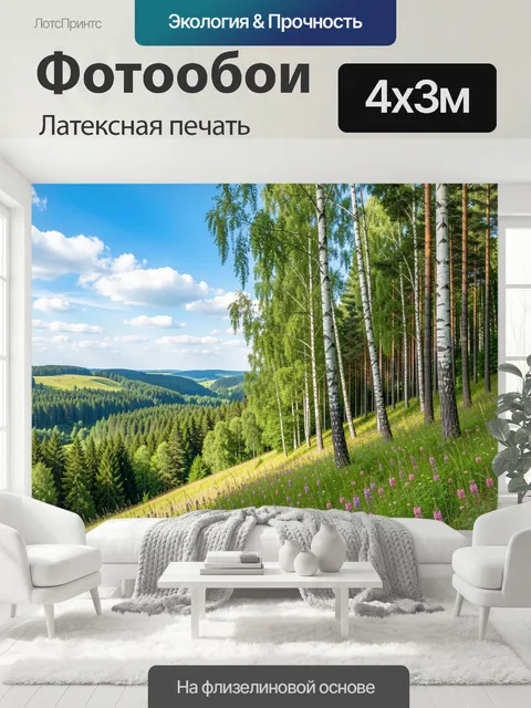 400 × 300 см · Латексная печать
