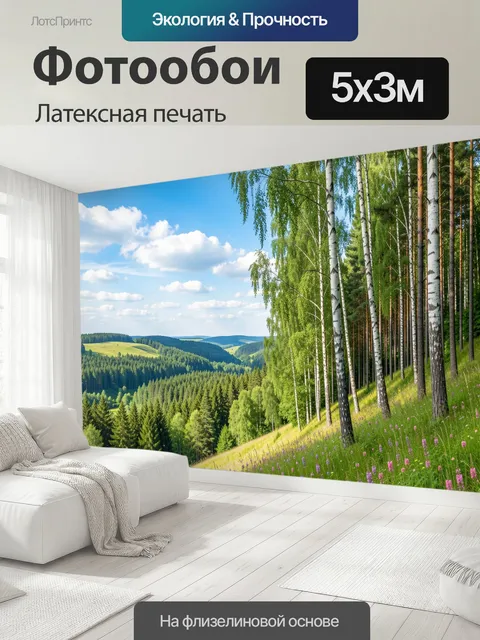 500 × 300 см · Латексная печать