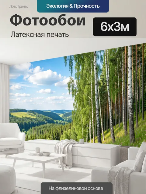 600 × 300 см · Латексная печать