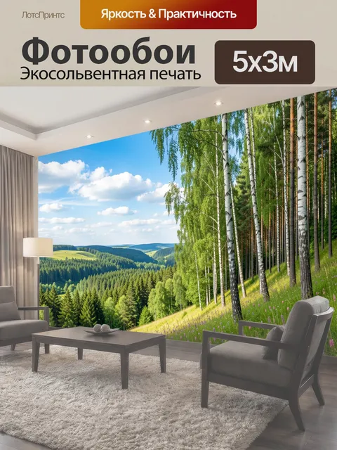 Фотообои Летний лесной пейзаж с высокими белоствольными берёзами на солнечном склоне холма