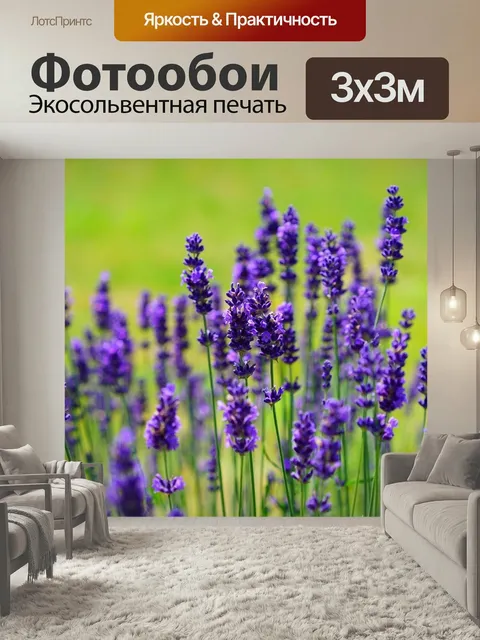Фотообои Лаванда, цветы, растения