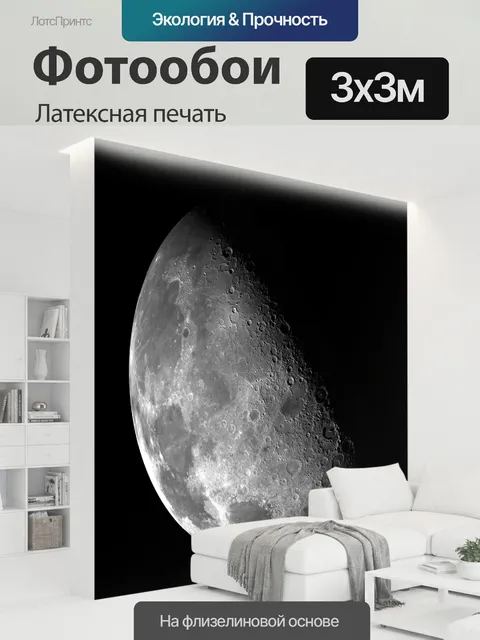 300 × 300 см · Латексная печать
