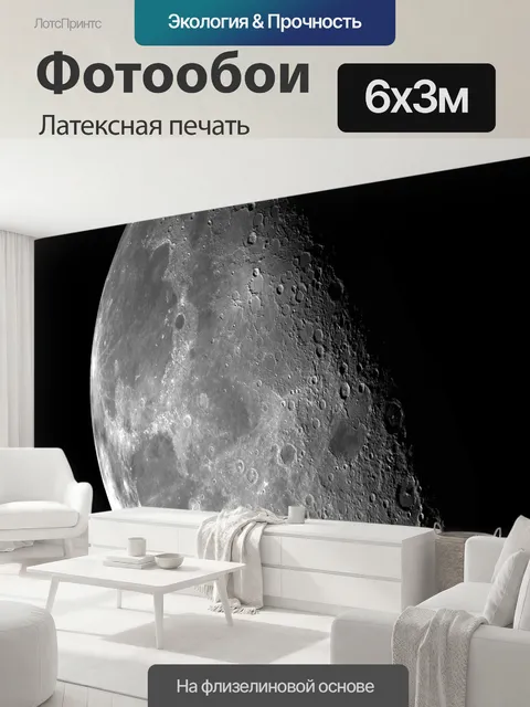 600 × 300 см · Латексная печать
