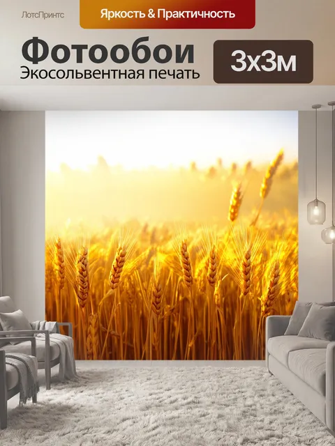 Фотообои Золотистые поля пшеницы, укрытые утренним туманом, создают атмосферу загадки под ярким небом. смена световых …