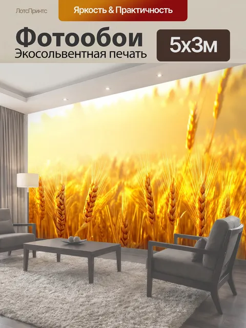 Фотообои Золотистые поля пшеницы, укрытые утренним туманом, создают атмосферу загадки под ярким небом