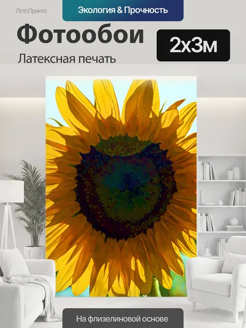 200 × 300 см · Латексная печать
