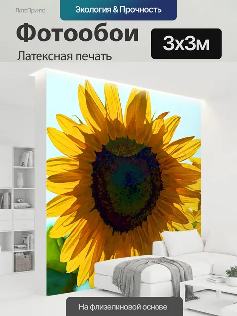 300 × 300 см · Латексная печать